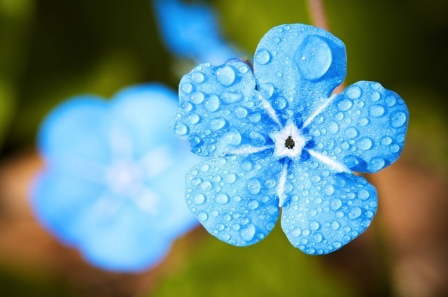 雨