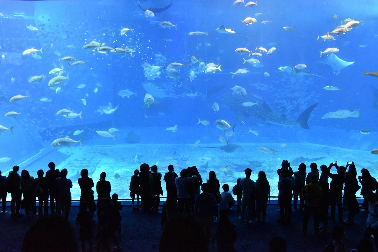 人気の水族館