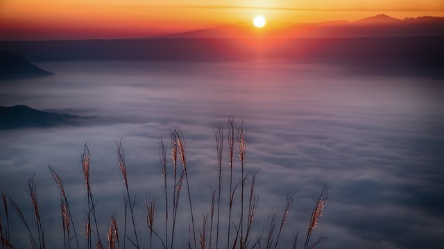 太陽