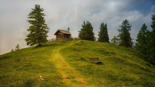 丘の風景