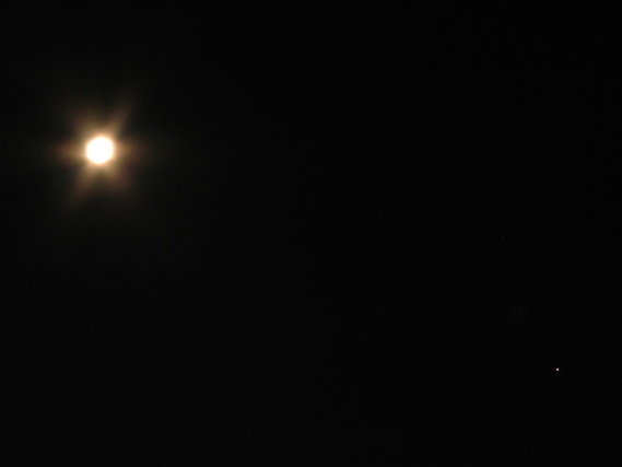 金星