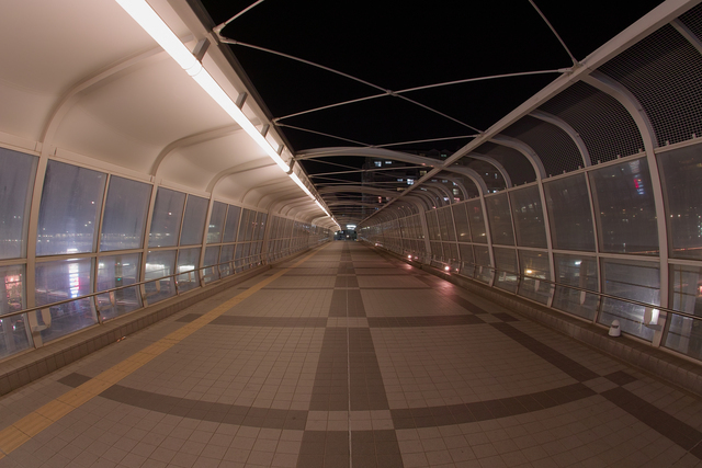 夜の歩道橋