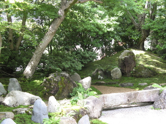 庭の風景