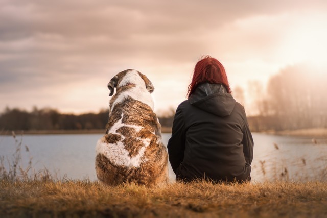 犬と人