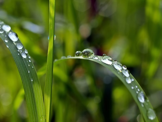 雨