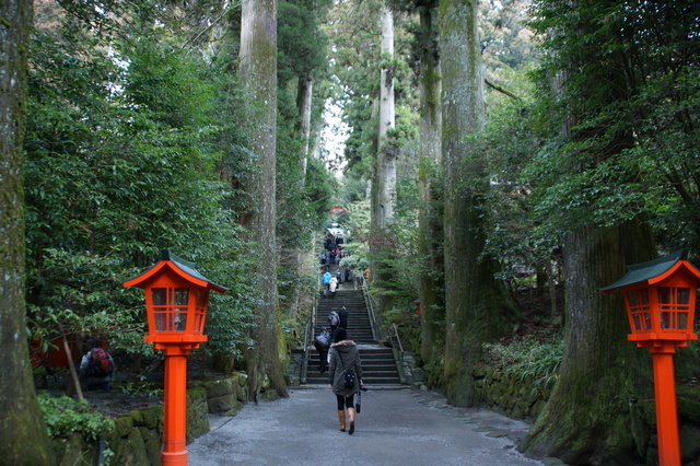 箱根神社 参道