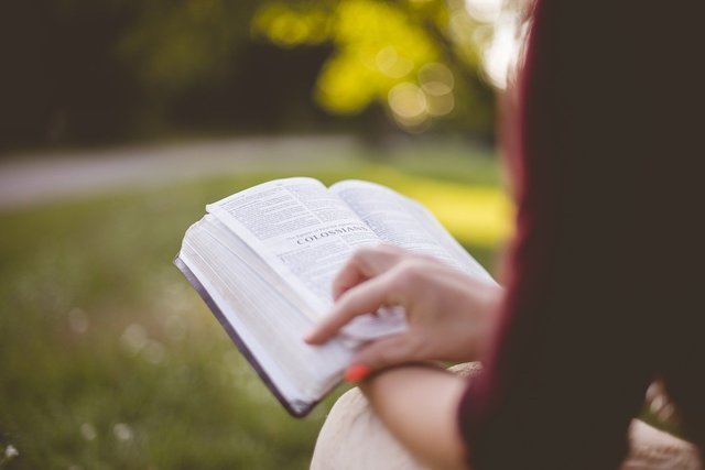 読書をする女性
