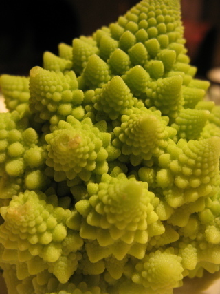 Romanesco