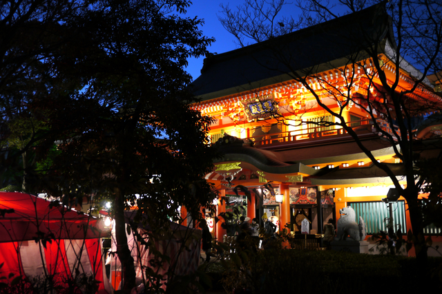 夜の千葉神社