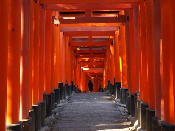 赤い奉納鳥居