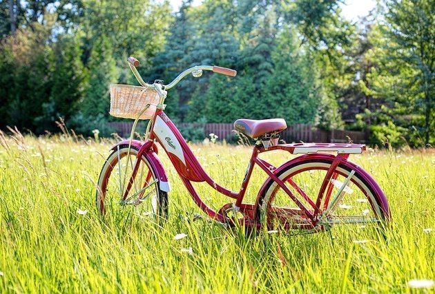 野原に置かれた自転車