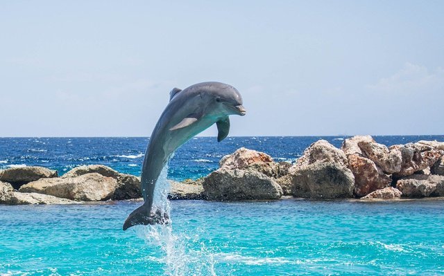水族館
