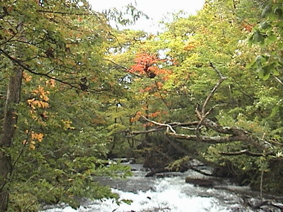 東北地方の自然