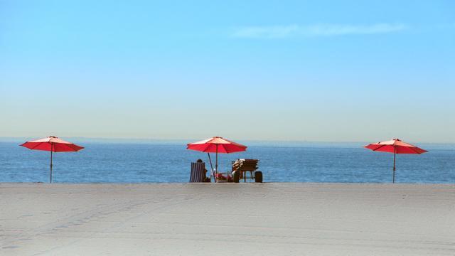 ビーチパラソルをたてた海岸