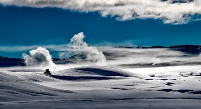 雪原