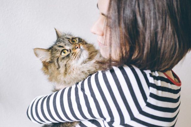 猫と女性