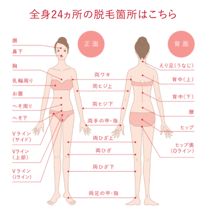 銀座カラーの脱毛可能範囲