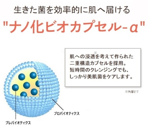 ナノ化ビオカプセル-α