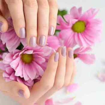 Large thumb shutterstock 569022502