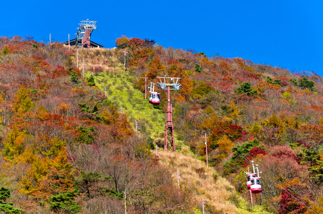 秋の山の風景